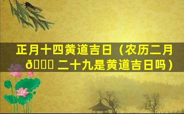 正月十四黄道吉日（农历二月 🕊 二十九是黄道吉日吗）